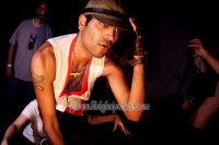 HAWT29_237 