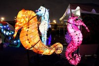 IMG_9730 