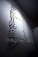 Converse_43 