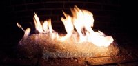 IMG_8427 