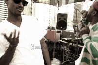 dub_frequency_266 