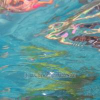 WetLA_0054 