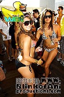 WET-SD_156 