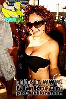 WET-SD_219 